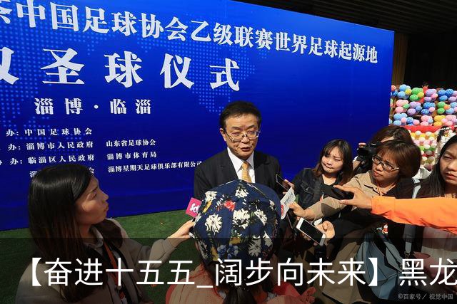 【奋进十五五 阔步向未来】黑龙江农机产业正加速迈向高端化智能化绿色化